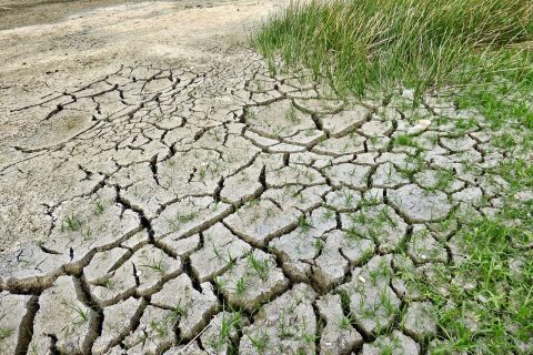 climate change, drought, climate-2241061.jpg